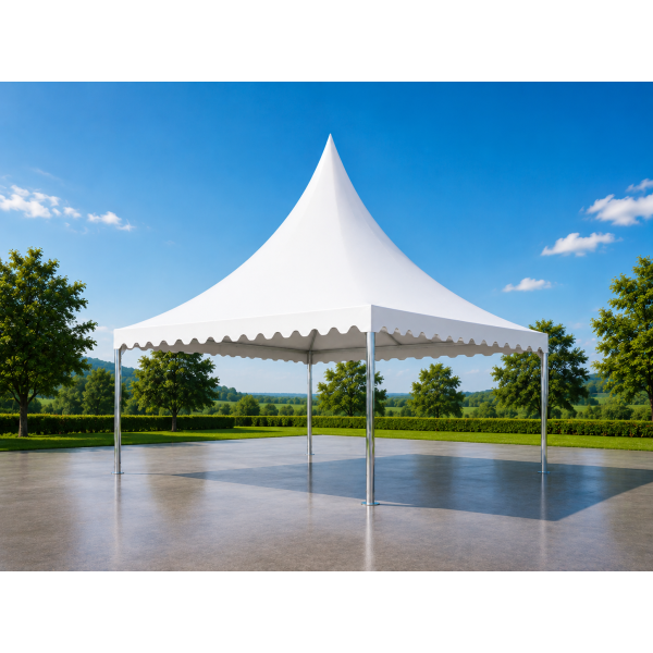 Pagode Professionnelle 5 x 5 m Aluminium – Sans Entourage